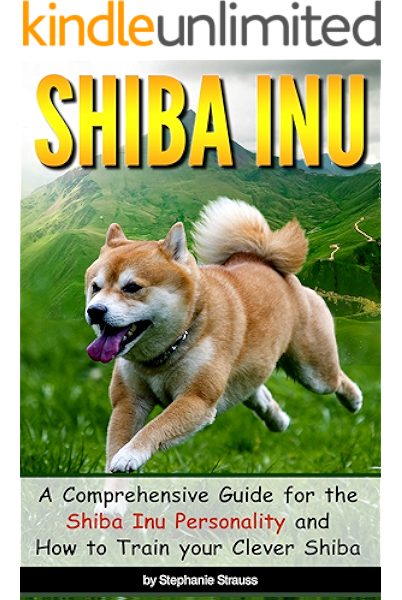 shiba inu first time dog owner