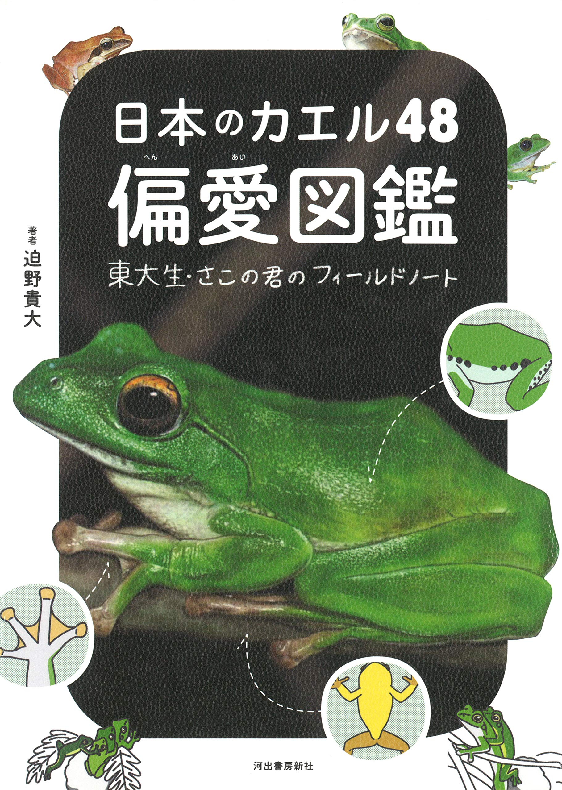 日本のカエル48 偏愛図鑑 東大生 さこの君のフィールドノート 迫野貴大 本 通販 Amazon