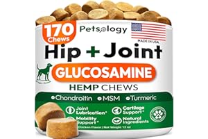 PETSOLOGY Hemp Hip and Joint Supplement for Dogs - Glucosamine for Dogs - 170 Mobility Support Chews - Advanced Joint Pain Relief Treats with Chondroitin, MSM, Turmeric - Large & Small Breeds - Made in USA