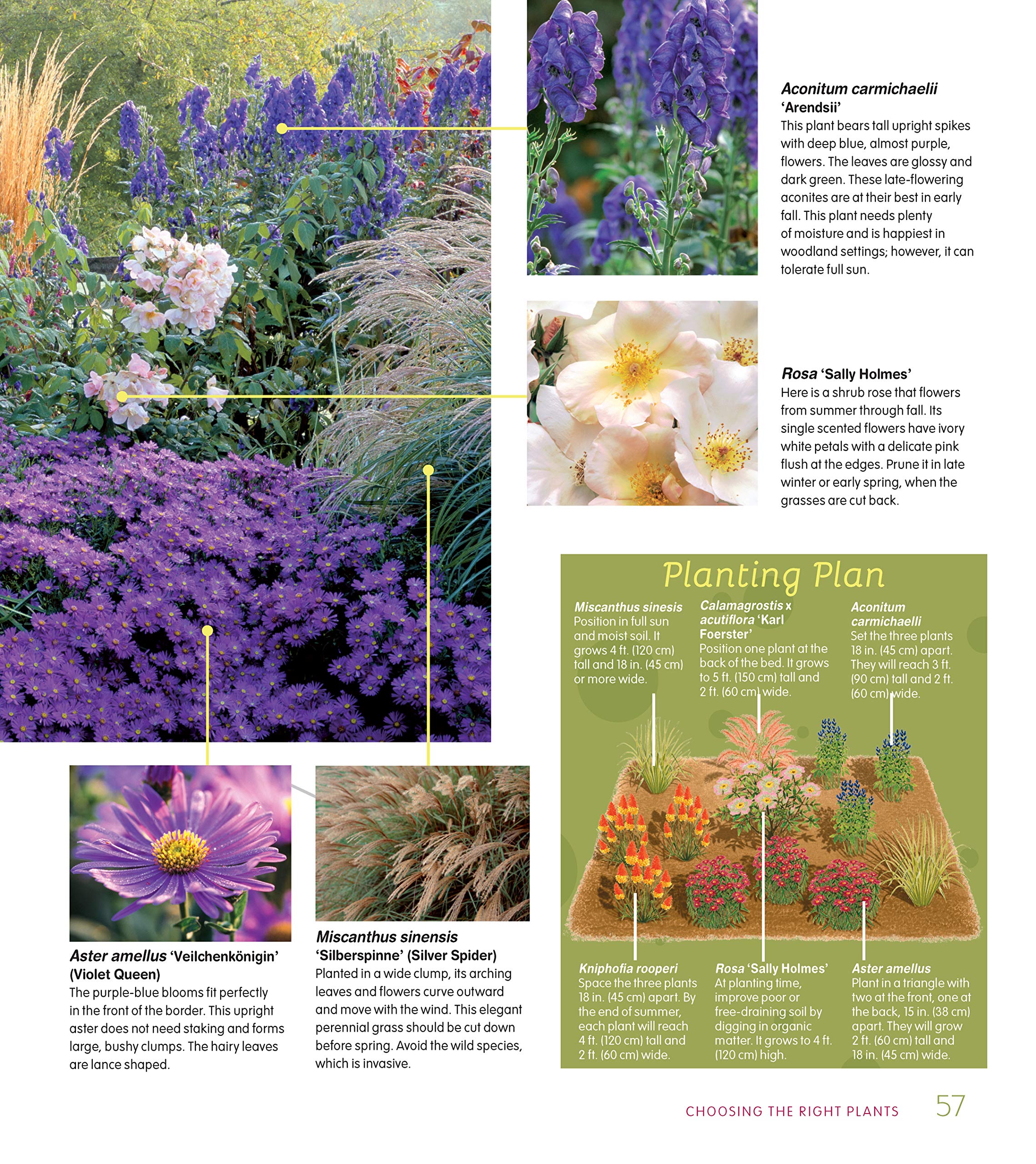 Essential Perennials for Every Garden: Selection, Care, and Profiles for Over 110 Easy-Care Plants (CompanionHouse Books) Gardening Advice for Design, Extending the Flower Growing Season, and More