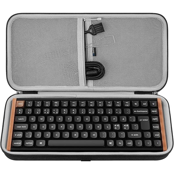 Amazon.com: ANALOG CASES Ableton Move Case - Custom-Fitted Compact