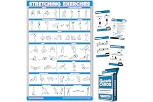 PALACE LEARNING QuickFit 2 Pack - Stretching Exercise Poster - Laminated 18" x 27" & Bodyweight Exercise Playing Cards - 2.5" x 3.5"