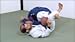Spider Guard Masterclass 1 - Understanding Spider Guard, the Critical Fundamentals