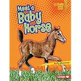 Meet a Baby Horse (Lightning Bolt Books ® ― Baby Farm Animals)