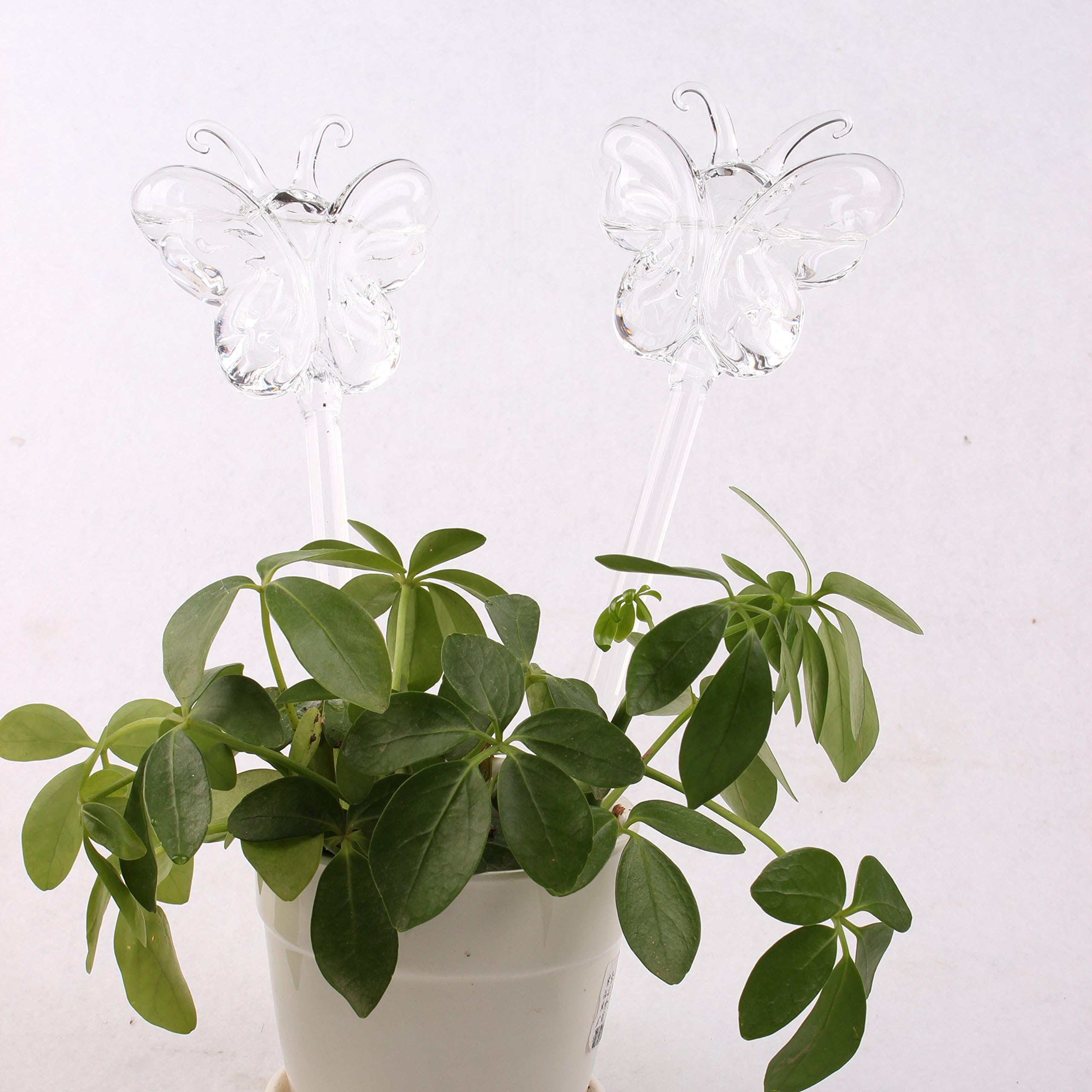 Dulinlan Set of 2 Plant Self Watering Globe Plant Nurse Water Bulbs Butterfly Shape Design Hand Blown Clear Glass