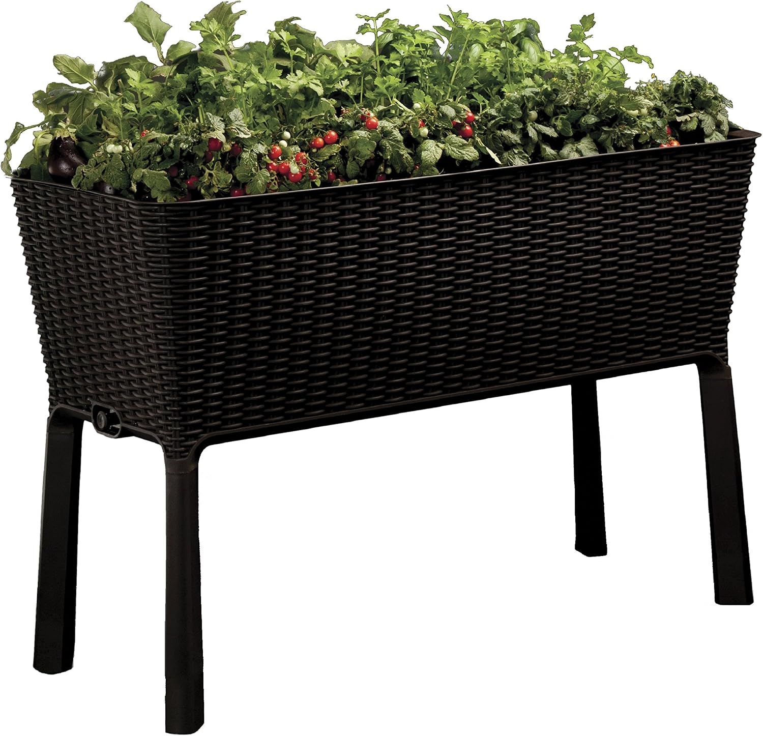 Keter - Mini huerto en casa Easy Grow con depósito de agua, Color ...