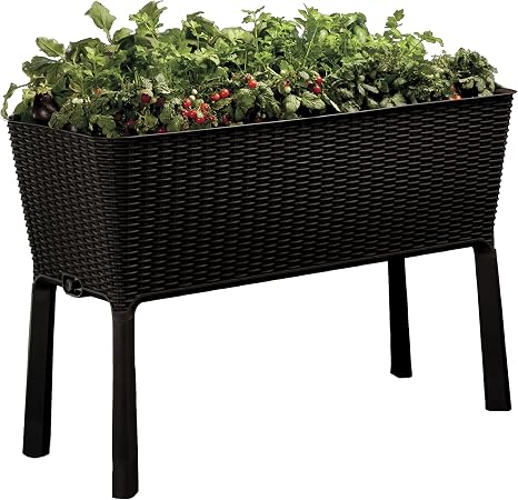 Keter - Mini huerto en casa Easy Grow con depósito de agua, Color ...