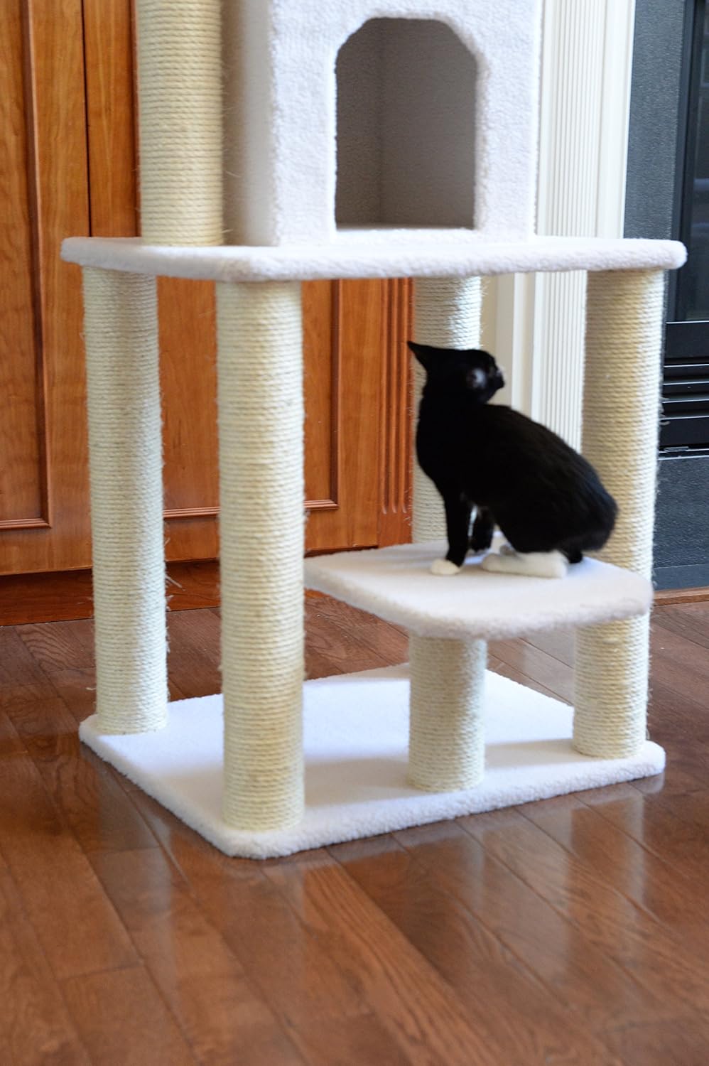Armarkat 62-Inch Cat Tree, Model B6203, Ivory : Cat Tower : Pet Supplies