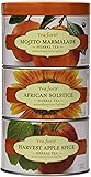 Tea Forte LOOSE LEAF TEA TRIO, 3 Small Tea Tins, Herbal Tea Sampler - Mojito Marmalade, African Solstice, Harvest Apple Spice