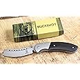 Wartech Buckshot Knives Thumb Open Spring Assisted Cleaver Classic Pocket Knife