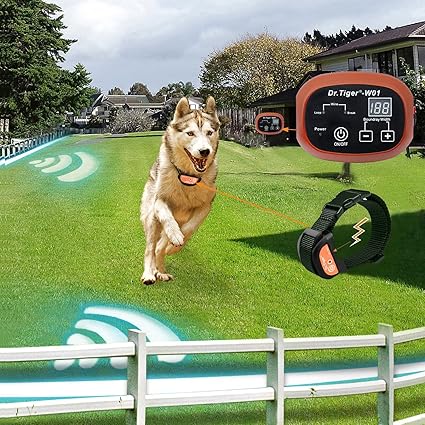 invisible fence flashing green light