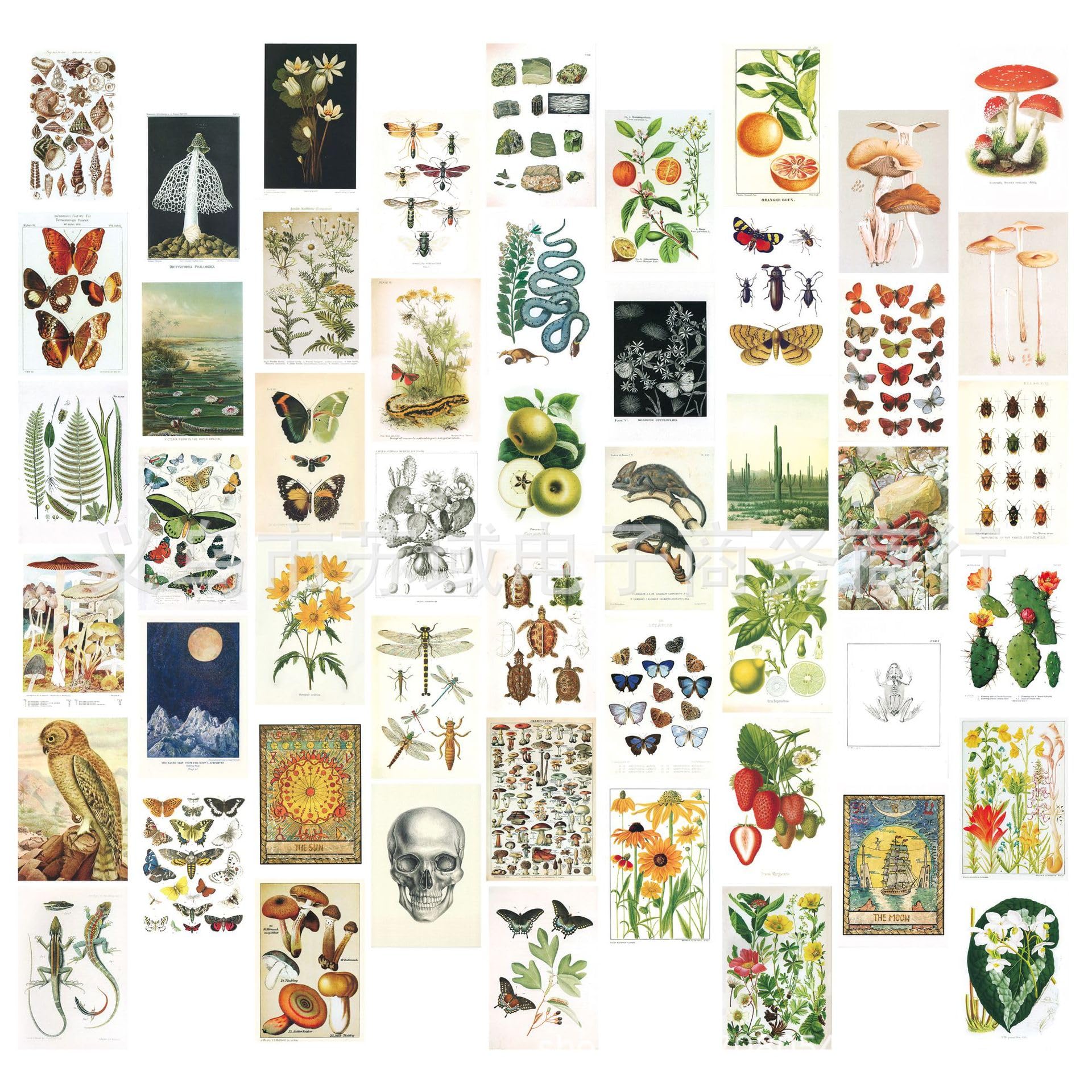 Bymivofun Pack of 50 Aesthetic Pictures for Wall Collage, Dormitory Photo Display, Wall Art Prints for Room, Aesthetic Wall Posters Boho293