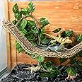 Reptile Lizard Habitat Accessories Include 29.52 x 7.08 Inch Lizard Hammock, Jungle Climber Vines Flexible Leaves Habitat Decor with Suction Cups for Bearded Dragons Iguanas and Other Reptiles