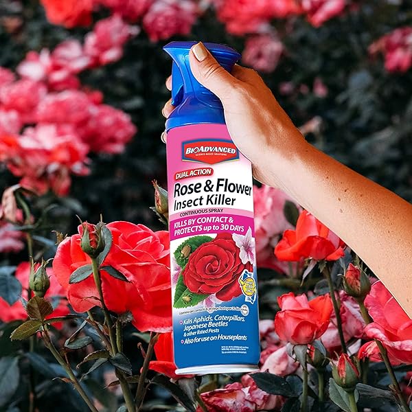 BIOADVANCED DUAL ACTION ROSE AND FLOWER INSECT KILLER, CONTINUOUS SPRAY, 15.7 OZ