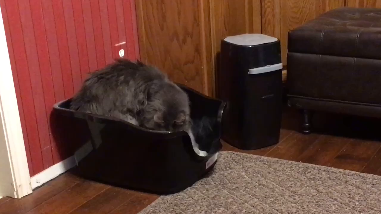 Customer reviews Pawkin Cat Litter Mat, Patented Design