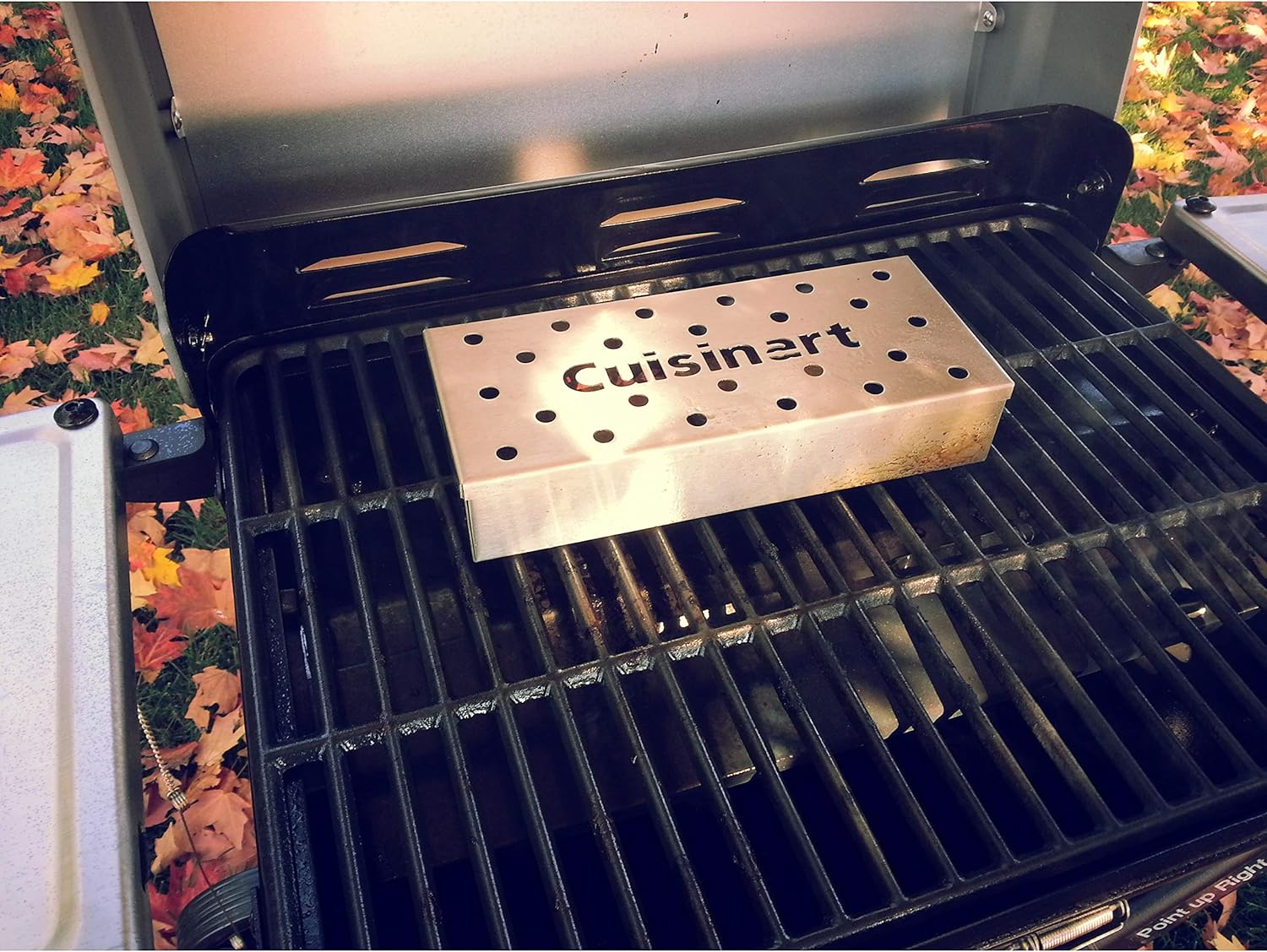 Cuisinart CSB-156 Wood Chip Smoker Box : Tool Box : Garden & Outdoor