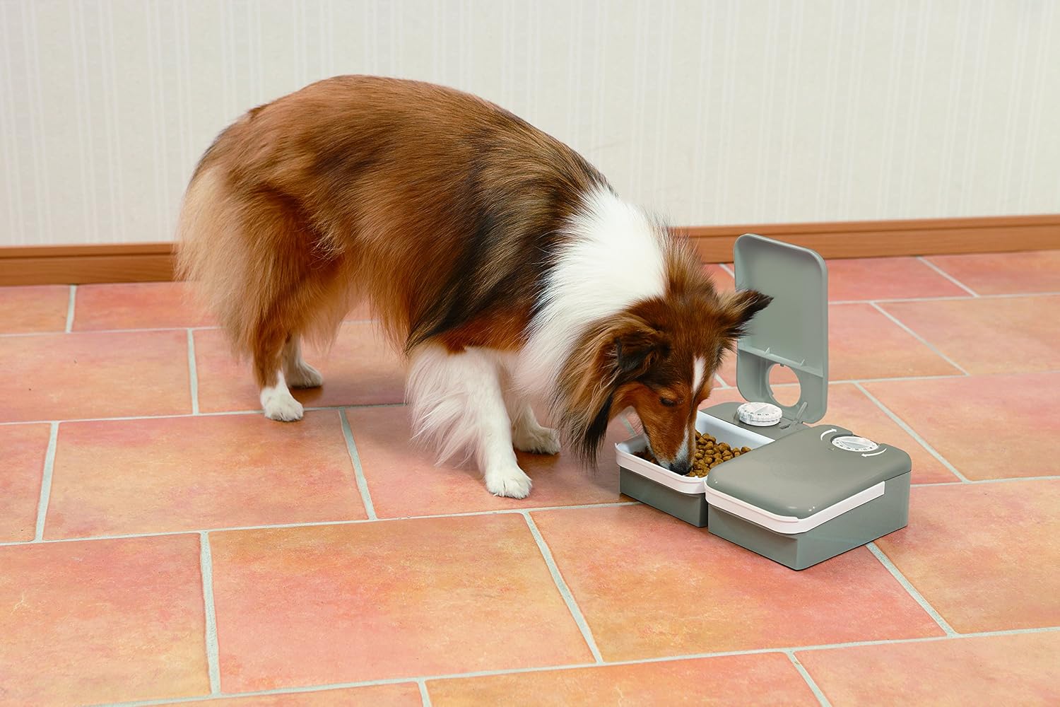 Pet Supplies : PetSafe Automatic 2 Meal Pet Feeder with Battery Powered Programmable Timer, 3 Cups Total Capacity, Cat and Small to Medium Dog Food Dispenser : Pet Self Feeders : 
