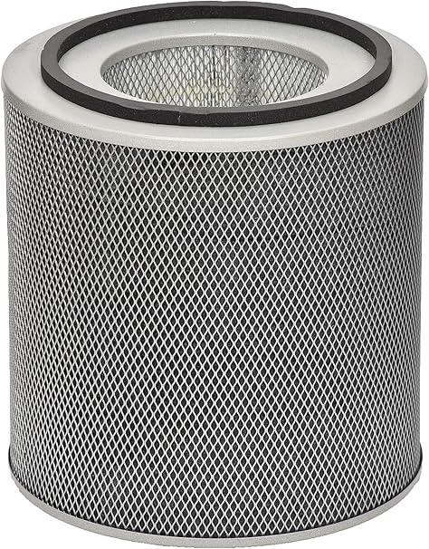 Austin Air FR400A Healthmate Standard 