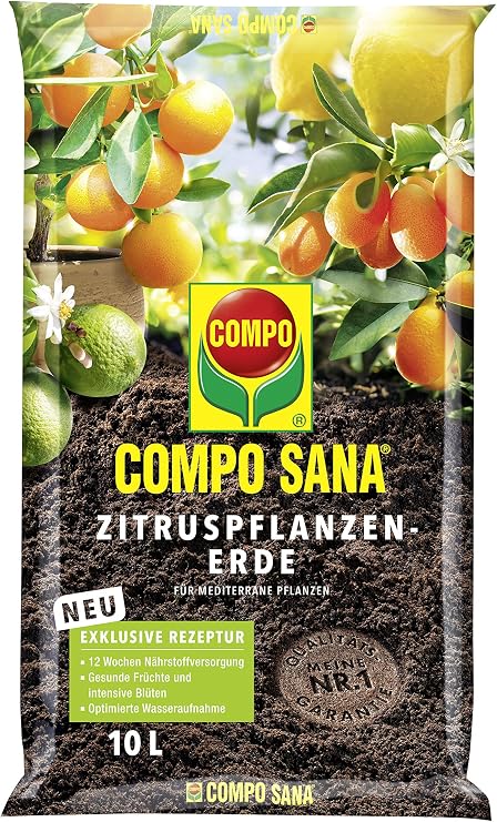 Compo 11671 - Sana árboles de cítricos Tierra, 10 l: Amazon.es: Jardín