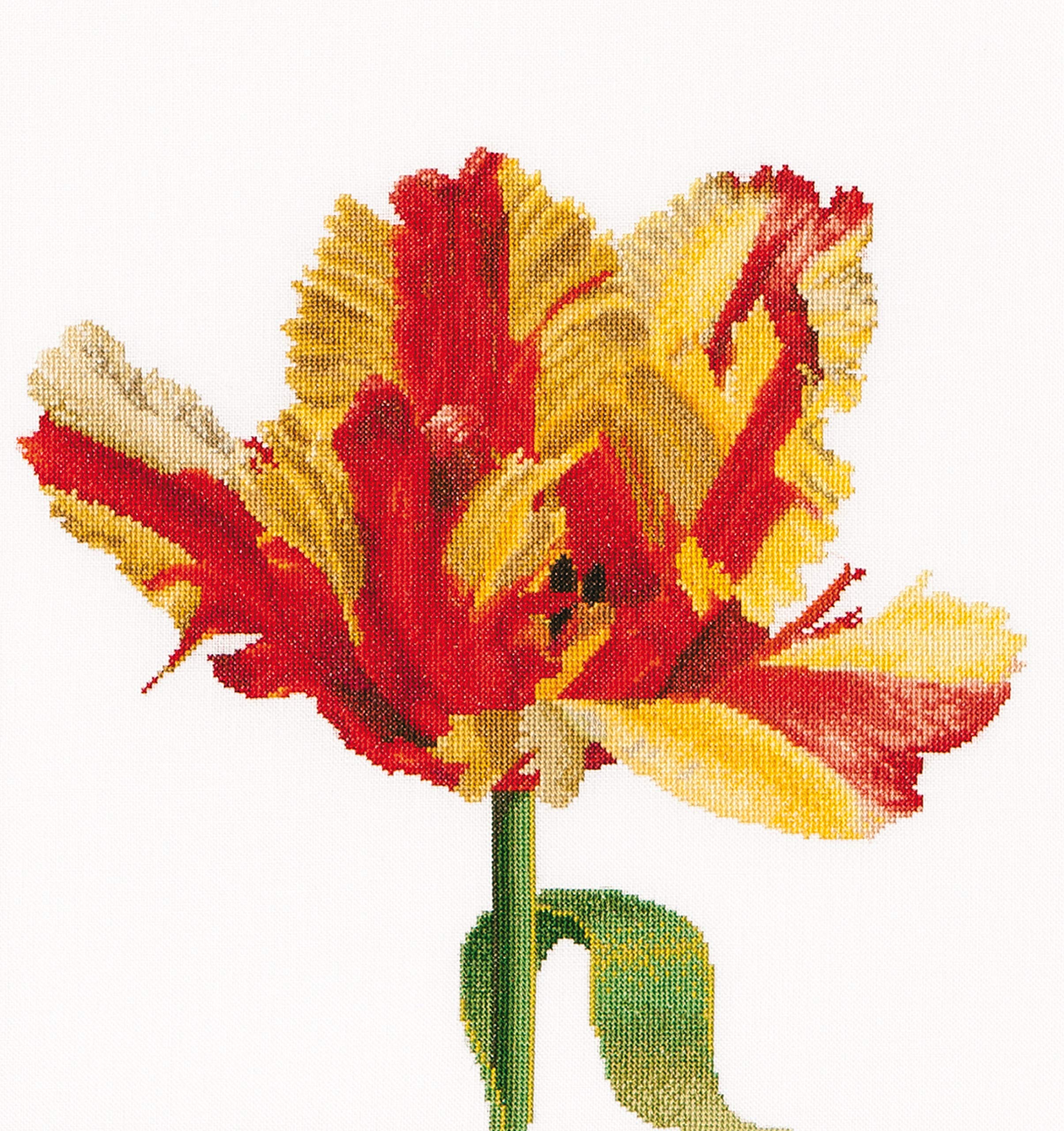 Thea Gouverneur Red/Yellow Parrot Tulip On Aida Cross Stitch Kit-13.5 x 14.25-inch 18 Count, 34x36cm