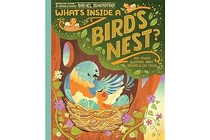 What's Inside A Bird's Nest?: And Other Questions About Nature & Life Cycles