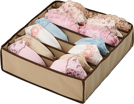 Amazon 炭入り ブラジャー収納ケース 収納ケース ボックス オンライン通販 Amazon 炭入り ブラジャー収納ケース 収納ケース ボックス オンライン通販