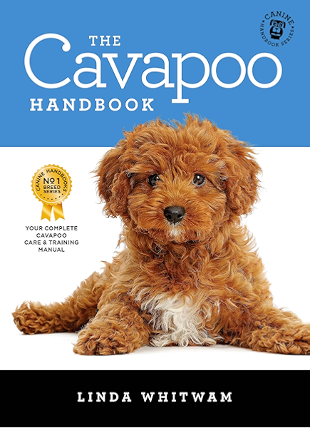 cavapoo feeding guide