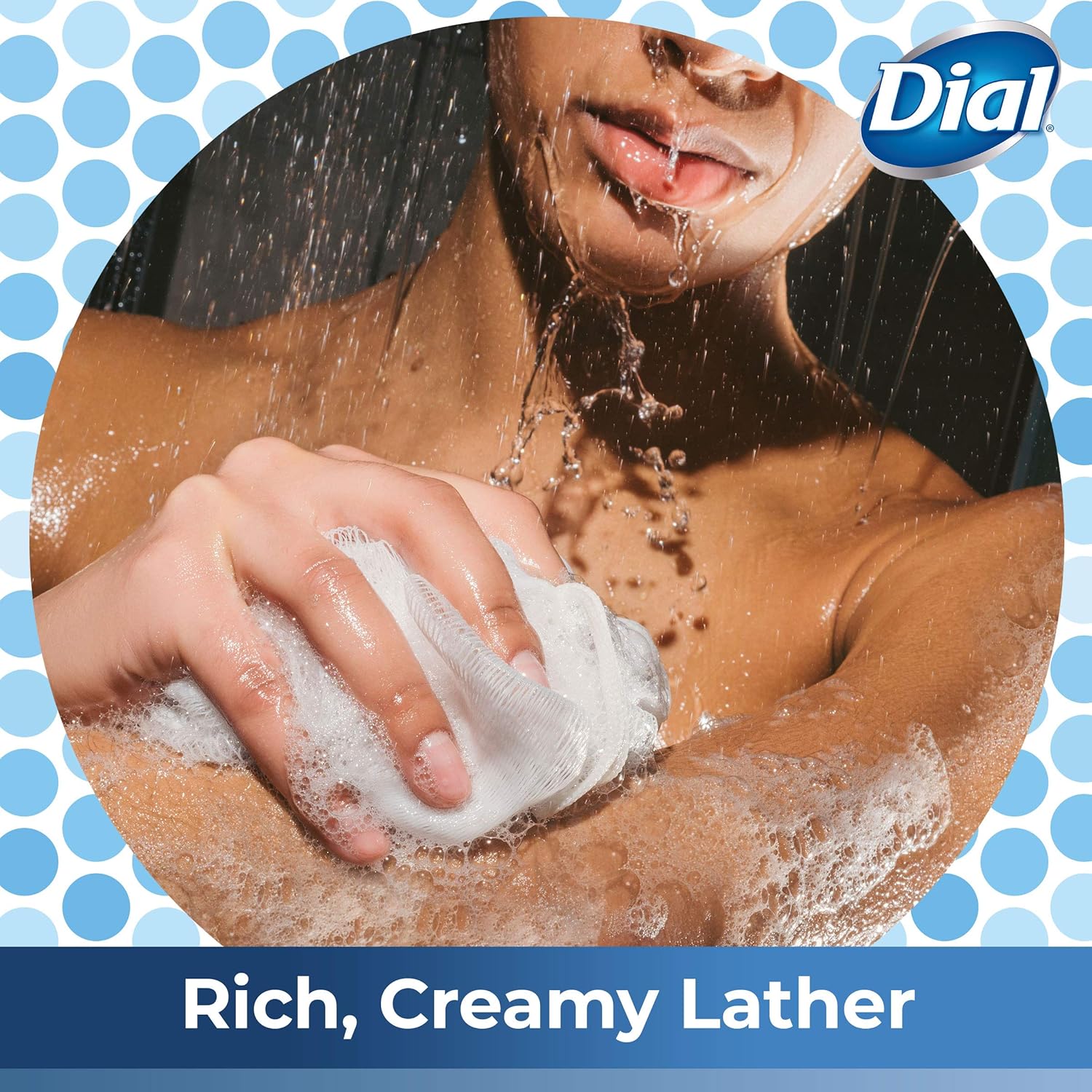 Dial Body Wash, Spring Water, 23 Oz (Pack Of 3) : Beauty