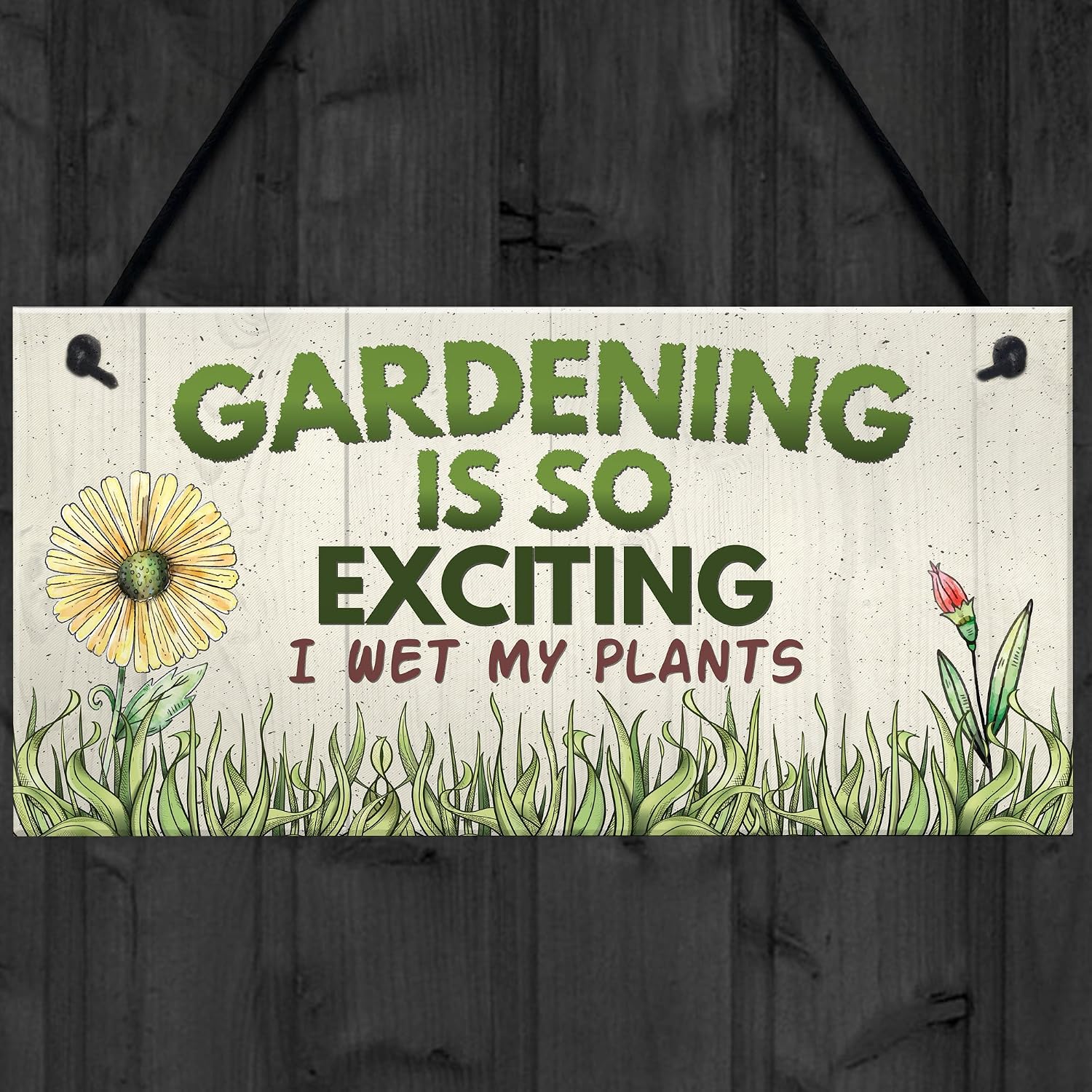 Red Ocean Gardening So Exciting Funny Novelty Hanging Sign Plaque Friendship Gift Gardening Sign, Green - Image 5