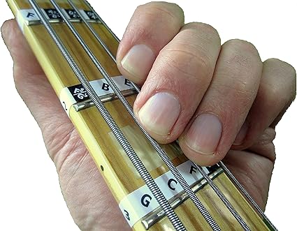 Note manche guitare basse