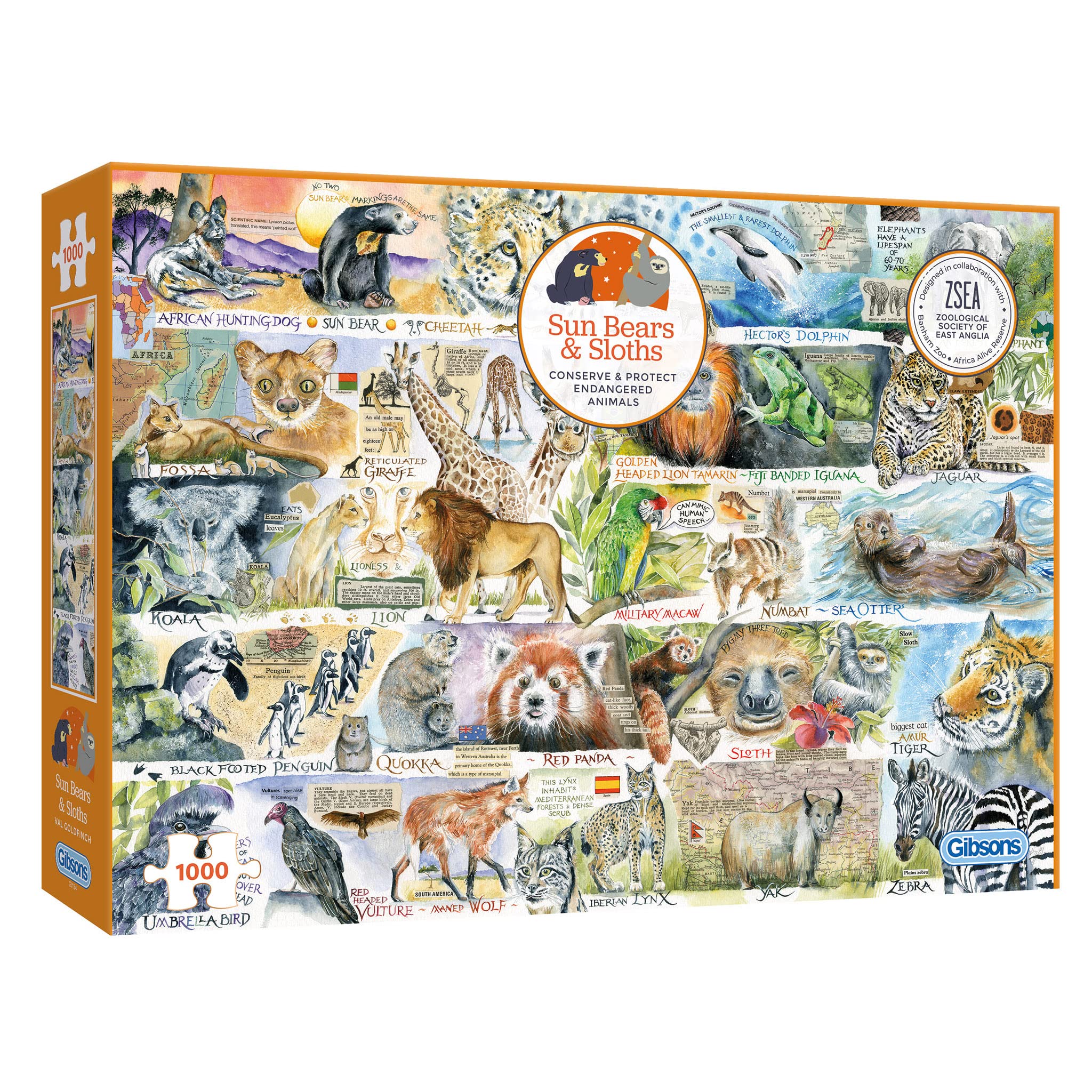 Gibsons Sun Bears and Sloths 1000 Piece Jigsaw Puzzle for Adults - Alphabet Animals by Val Goldfinch Colourful Wildlife Art - Premium Sustainable Puzzle Made in the UK/EU