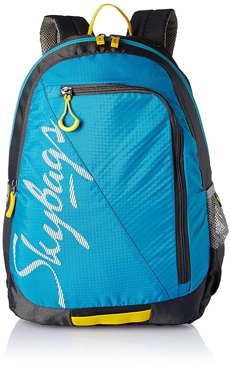 skybags price in amazon