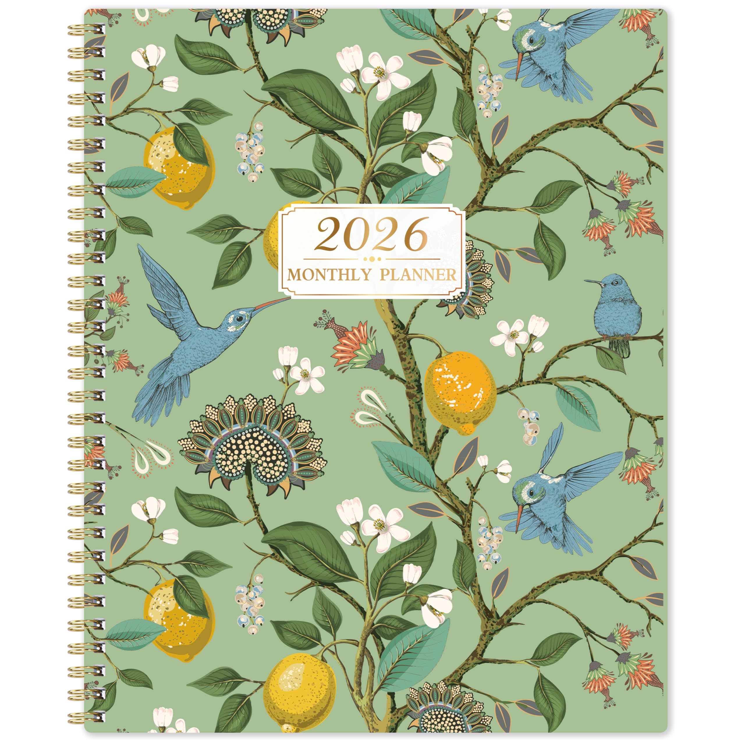 View 1 of 2026 Monthly Planner - 2026 Planner, JAN 2026 - DEC 2026, 2026 Monthly Planners 9" x 11" with Colorful Tabs, 12-Month Planner/Calendar with Contacts & Passwords &Thick Paper - Bird