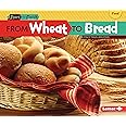 From Wheat to Bread (Start to Finish, Second Series)