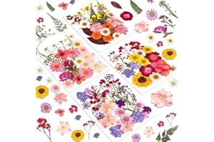 Dried Flowers for Candle Making, Winartton 90 PCS Dried Flowers for Nail Mix Color Real Pressed Flowers for Resin Craft Jewelry Scrapbook Candle Making Soap Making Makeup Nails Decor