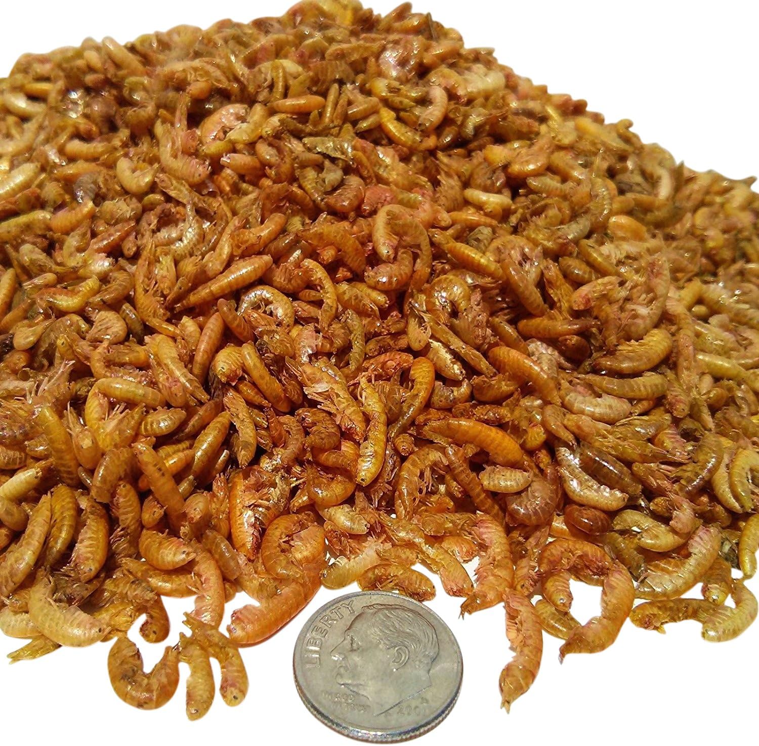 Aquatic Foods Inc. Freeze Dried Gammarus - Freeze Dried, Great for Smaller Tropicals and Marines.2-lbs