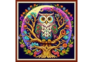 Dimensean Stamped Cross Stitch Kits Full Range of Embroidery Patterns Starter Kits for Beginners Adult or Kids DIY Cross Stitches Needlepoint Kits 11CT-Colorful Owl 17.7x17.7 inch