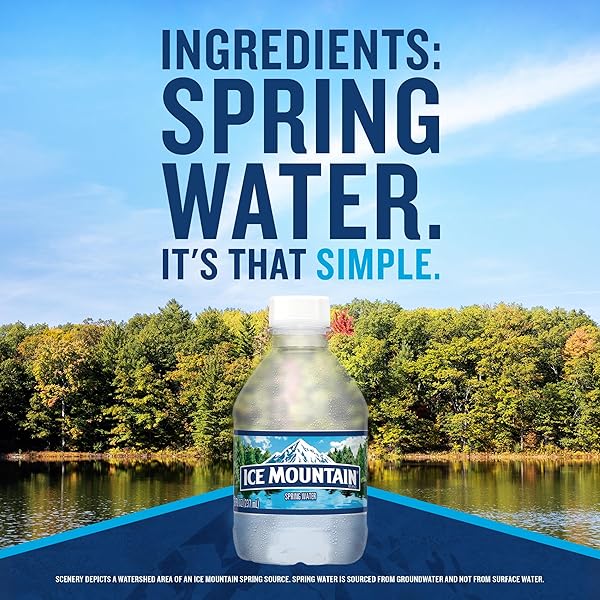 ICE MOUNTAIN SPRING WATER, 12 PACK – REFRESHING CRISP BOTTLED WATER – 8 FL OZ MINI BOTTLE