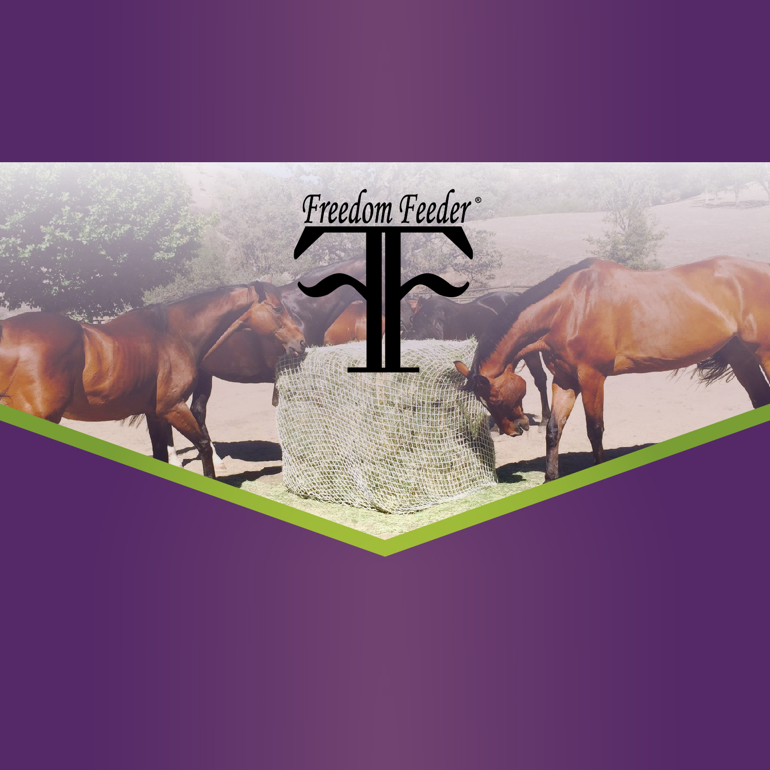 Freedom Feeder Full Bale Slow Feed Hay Net Buy Online In Oman