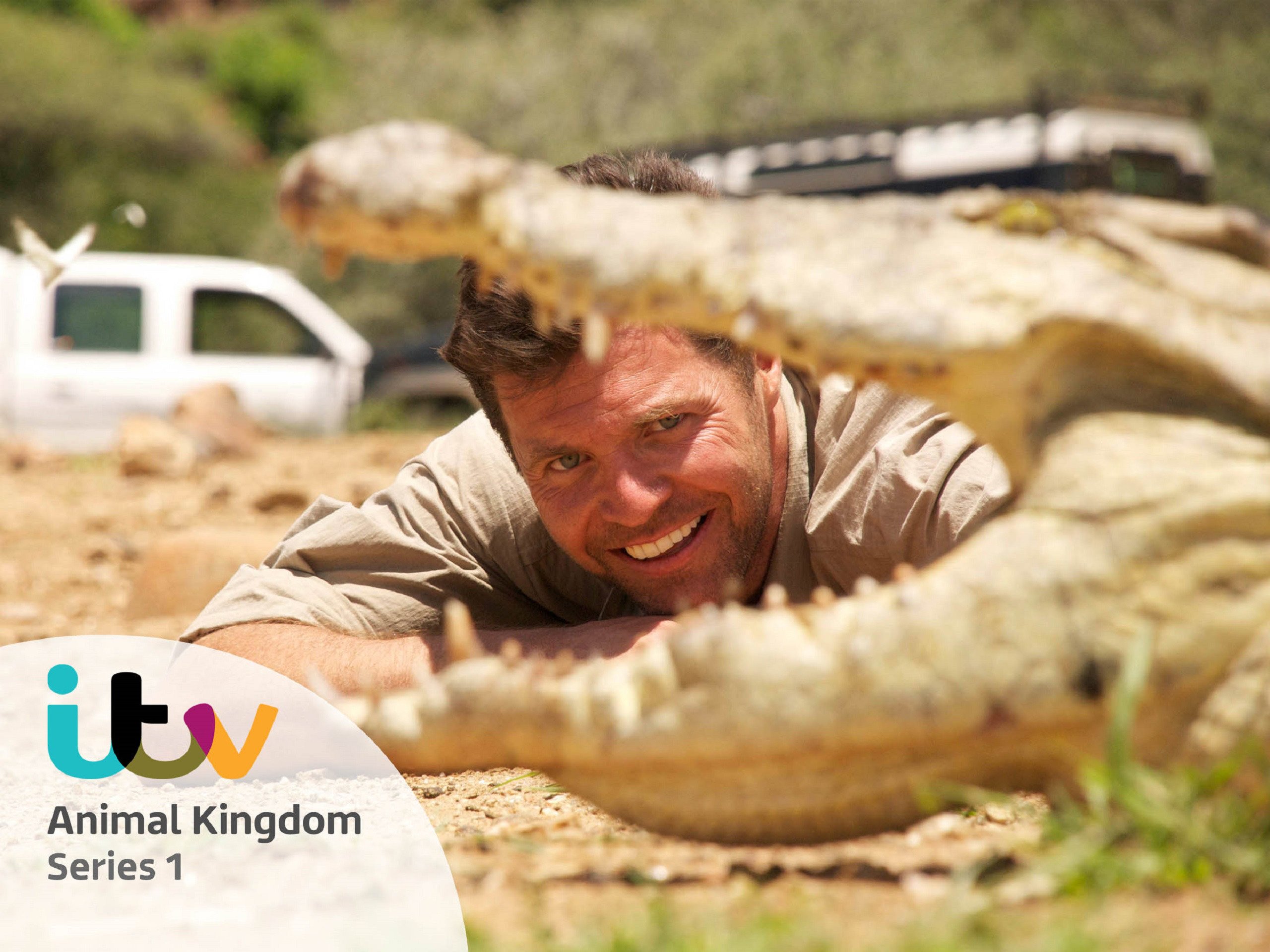 Watch Animal Kingdom Season 1 Prime Video