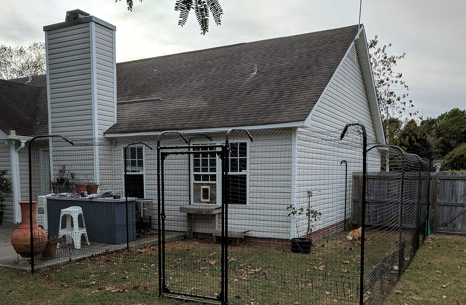 oscillot cat fence amazon