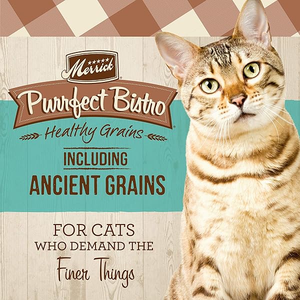 MERRICK PURRFECT BISTRO PREMIUM HEALTHY GRAINS DRY CAT FOOD FOR ADULT CATS, REAL SALMON AND BROWN RICE RECIPE – 4.0 LB. BAG