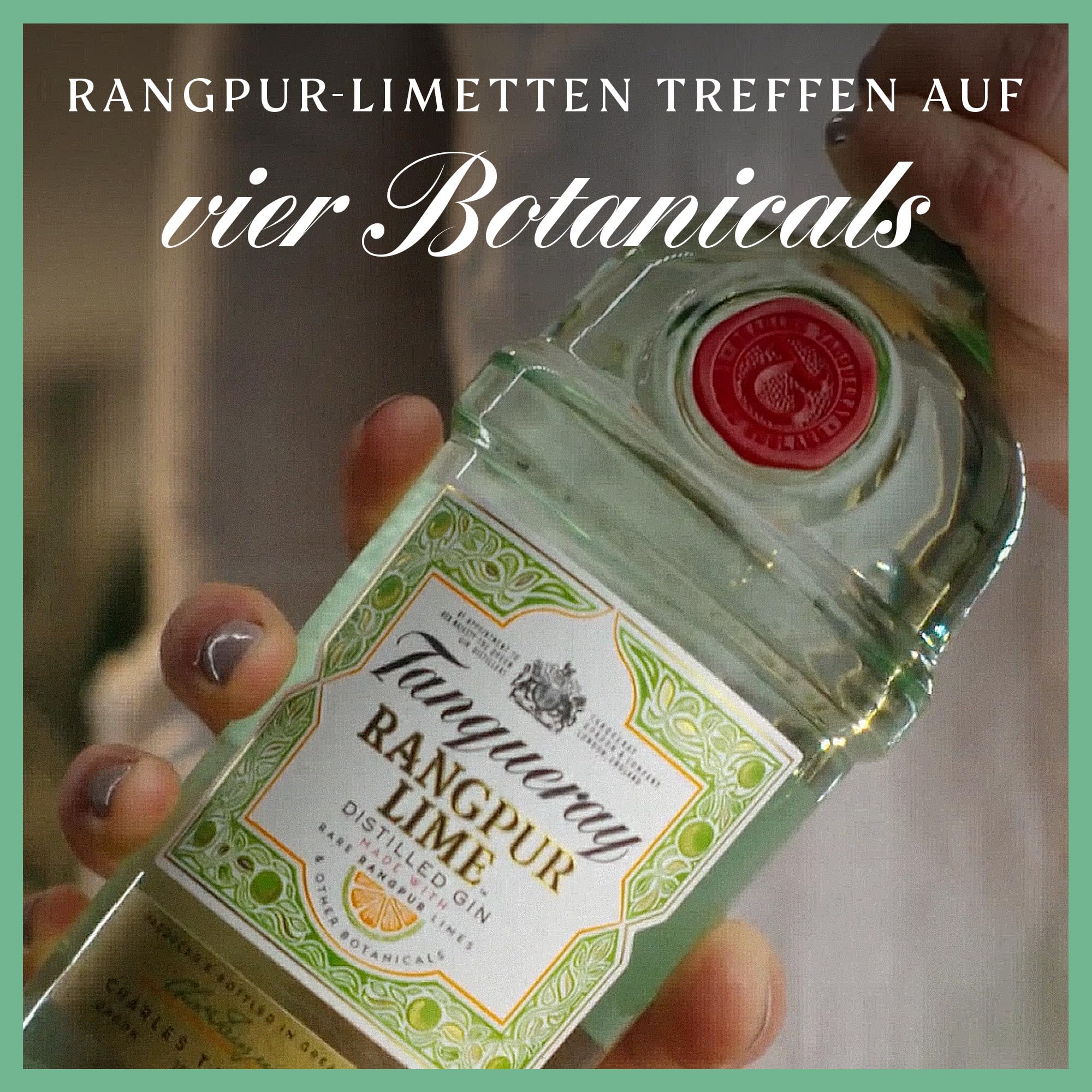 Tanqueray Rangpur Lime, Destillierter Gin, mit Zitrusfrische, aromatisiert, 5-fach destilliert auf englischem Boden, 41,3% Vol, 700ml Einzelflasche 3
