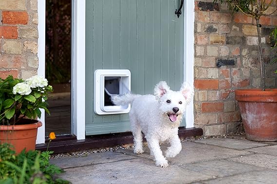 amazon sureflap microchip pet door