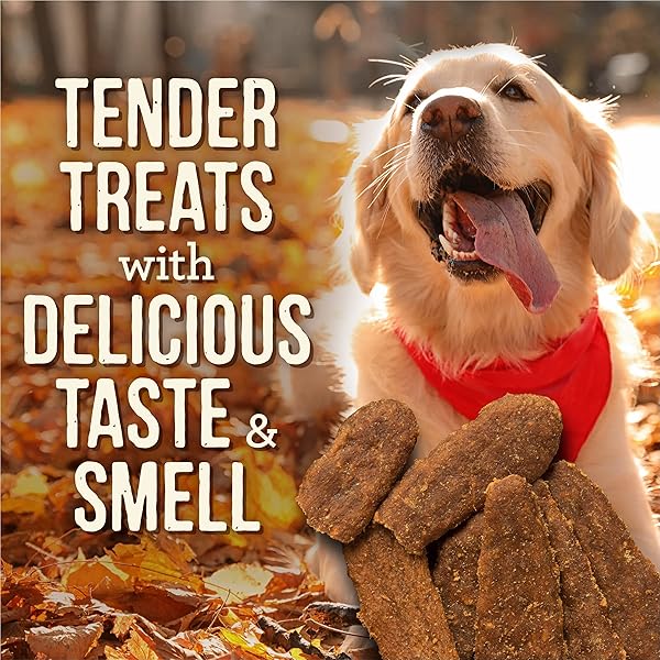 MERRICK SOFT DOG TREATS, SLOW COOKED BBQ CHICKEN DOG TREAT CHEWS, MEMPHIS STYLE GLAZED TENDERS – 10 OZ. POUCH
