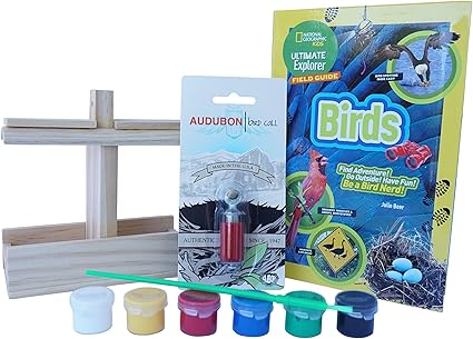 Amazon Com Bird Feeder House Kit For Children Kid Diy Wood Bird