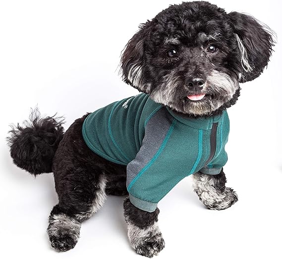 golden knights dog jersey