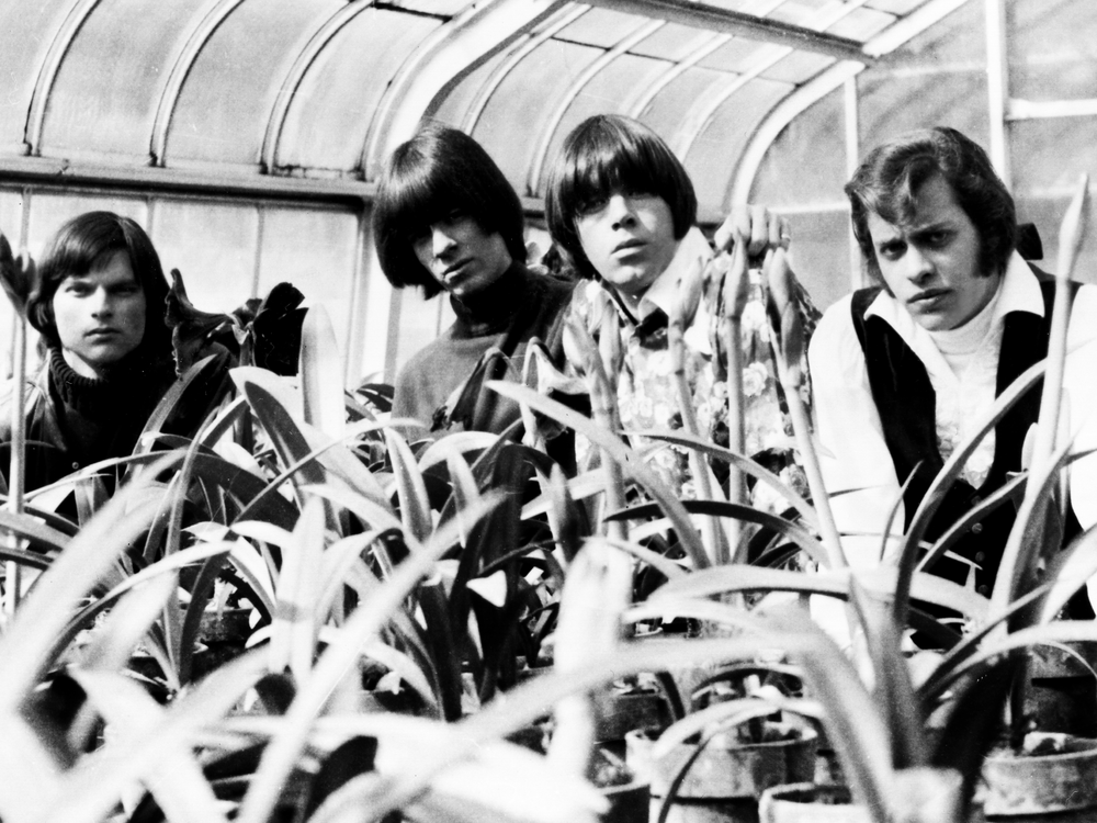 The Seeds bei Amazon Music