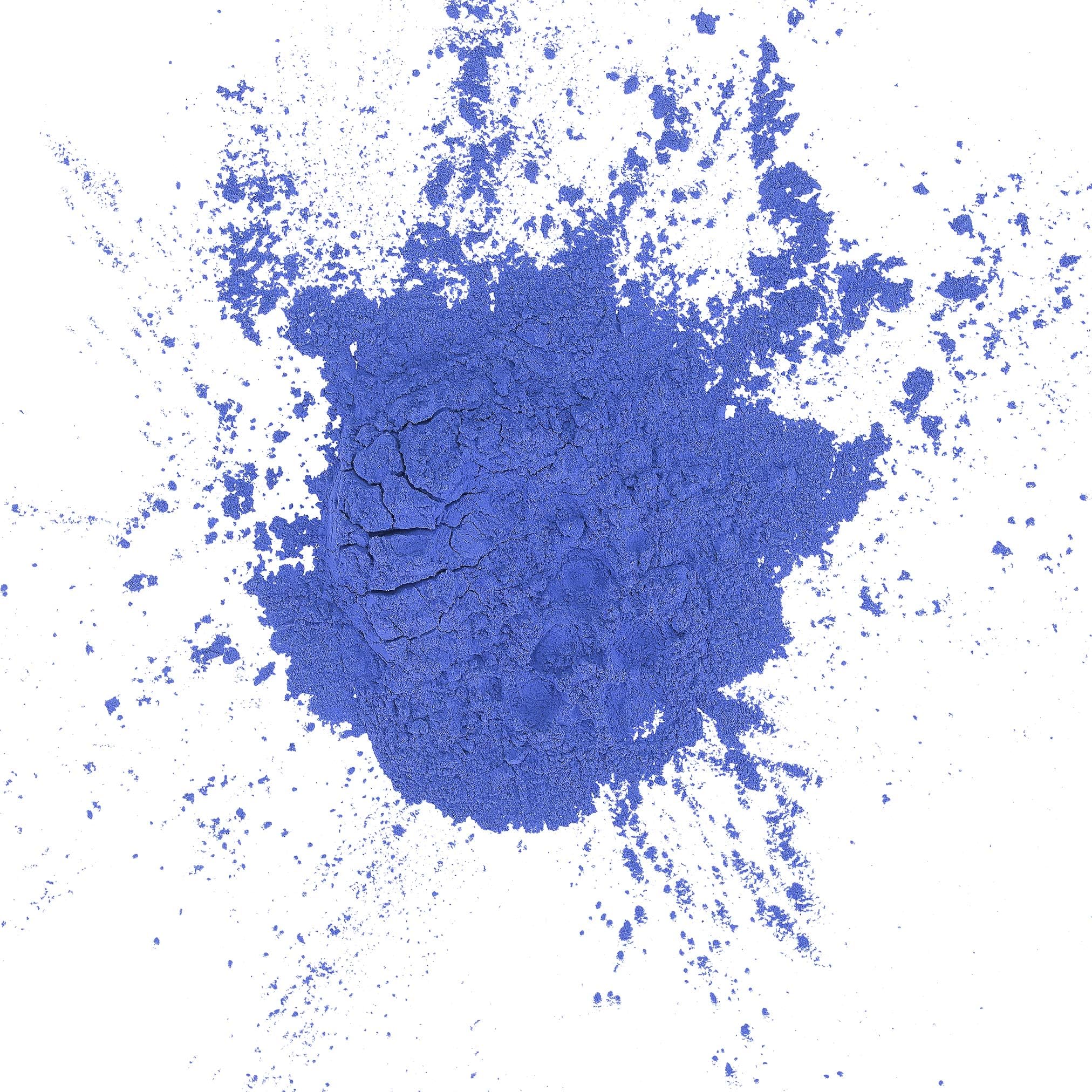 EkPuja Powder Paint for Throwing 25kg Sack of Coloured Holi Powder - Colour Run Party 25kg (Blue)