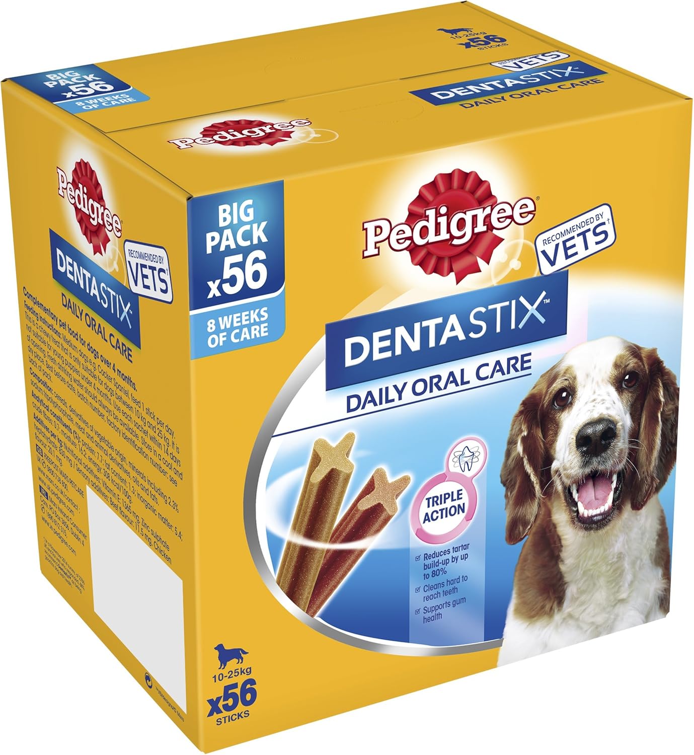 teacup monkey for sale